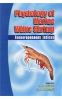 Physiology of Marine White Shrimp Fenneropenaeus Indicus