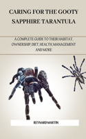 Caring for the Gooty Sapphire Tarantula