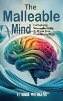Malleable Mind