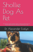 Shollie Dog As Pet: The Ultimate And Complete Guide On All You Need To Know About Shollie Dog, Care, Housing, (Shollie Dog As Pet)