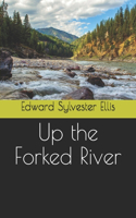 Up the Forked River