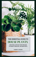 Essential Guide To Houseplants: Discover A Step By Step Process to Make It Healthy, And Beautiful