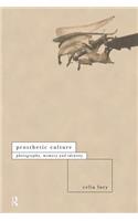 Prosthetic Culture