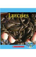 Leeches (Nature's Children)