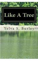 Like A Tree