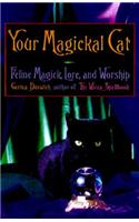 Your Magickal Cat