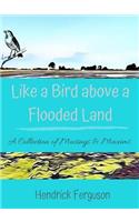 Like a Bird above a Flooded Land