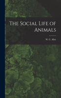 Social Life of Animals
