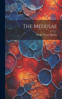 Medusae