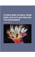 Citizen Bird Scenes from Bird-Life in Plain English for Beginners