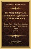 The Morphology and Evolutional Significance of the Pineal Body