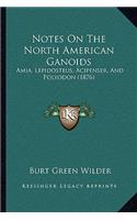 Notes On The North American Ganoids