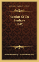 Wonders Of The Seashore (1847): (English)