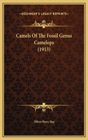 Camels Of The Fossil Genus Camelops (1913): (English)