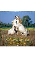 Crinieres Au Vent De Camargue 2017