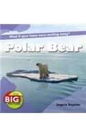 Polar Bear: (The Big Picture)