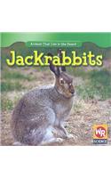 Jackrabbits