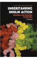 Understanding Insulin Action