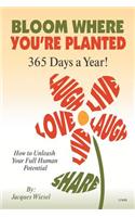 Bloom Where You're Planted