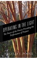 Operating in the Light: The Power of the Process Preceding the Performance of Purpose(English)
