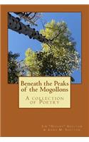 Beneath the Peaks of the Mogollons