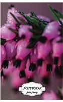 Notebook Journal Dot-grid, Graph, Lined, Blank No Lined - Purple Flowers: Small Pocket Notebook Journal Diary