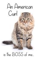 An American Curl Tabby Cat is the Boss of me...