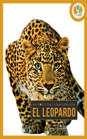 Leopardo