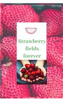 Strawberry fields forever: Strawberry Tips for You