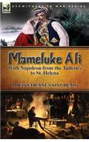 Mameluke Ali-With Napoleon from the Tuileries to St. Helena