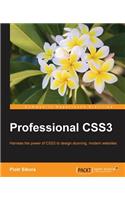 Professional CSS3: (English)