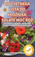 Od Cvetnega Lista Do Kroznika
