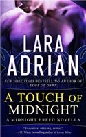A Touch of Midnight: (Vampire Romance): (Midnight Breed)