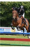 Horse and Rider Jumping a Fence Journal: Take Notes, Write Down Memories in this 150 Page Lined Journal