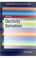 Electricity Derivatives