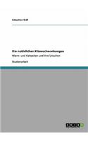 natürlichen Klimaschwankungen: Warm- und Kaltzeiten und ihre Ursachen