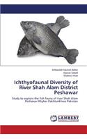 Ichthyofaunal Diversity of River Shah Alam District Peshawar