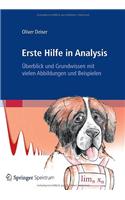 Erste Hilfe in Analysis