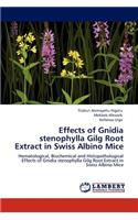 Effects of Gnidia stenophylla Gilg Root Extract in Swiss Albino Mice