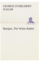 Bumper, The White Rabbit