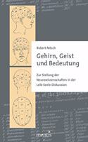 Gehirn, Geist Und Bedeutung