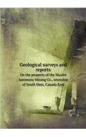 Geological Surveys and Reports on the Property of the Nicolet Antimony Mining Co., Township of South Ham, Canada East