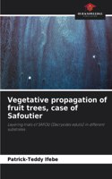 Vegetative propagation of fruit trees, case of Safoutier