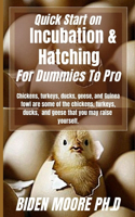 Quick Start on Incubation & Hatching For Dummies To Pro