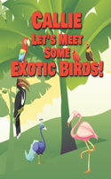 Callie Let's Meet Some Exotic Birds!: Personalized Kids Books with Name - Tropical & Rainforest Birds for Children Ages 1-3