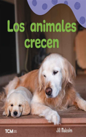 Los Animales Crecen