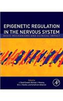 Epigenetic Regulation in the Nervous System