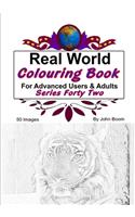 Real World Colouring Books Series 42