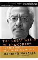 The Great Wells Of Democracy