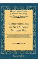 Competitiveness of New Mexico Natural Gas: Hearing Before the Subcommittee on Mineral Resources Development and Production of the Committee on Energy and Natural Resources, United States Senate, One Hundred First Congress, First Session, on the Com
